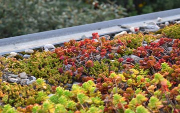 the cost of Sontley green roof installation