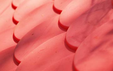 Sontley plastic roof costs