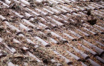 Sontley roof cleaning companies