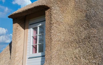 Sontley thatch roof disadvantages