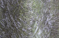 Sontley fibreglass roof work