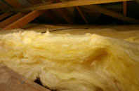 Sontley pitch roof insulation